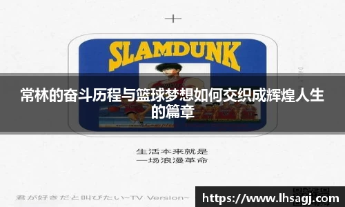 K1体育官方网站